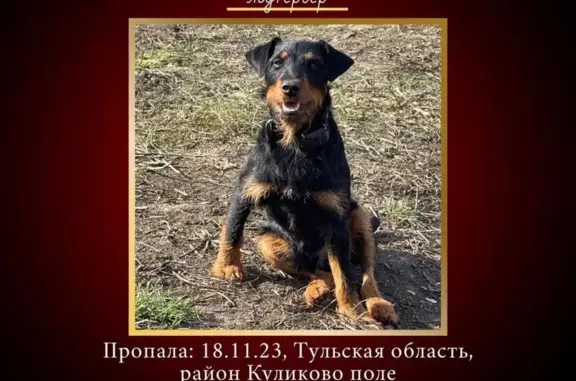 Пропала собака: Кимовск-Кресты