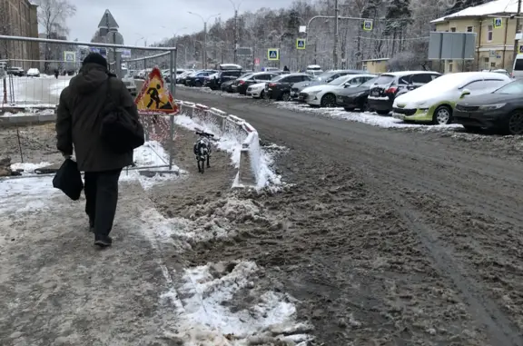 Найдена собака, Санкт-Петербург, фото: Найдена собака, по.Тореза 68, СПб