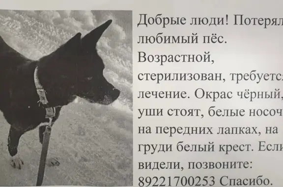 Пропала собака: Москворецкая наб., Мск