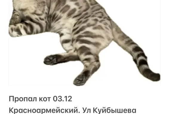 Пропала кошка: Куйбышева, 47, Волгоград