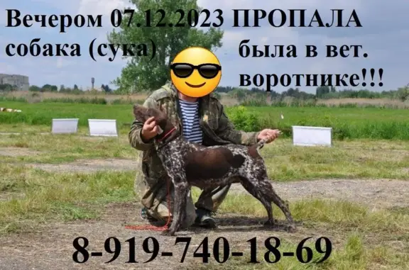 Пропала собака: пл. Ленина, 1, Ставрополь