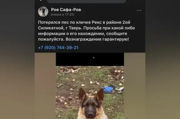 Пропала собака, Третьяковский пер., 53