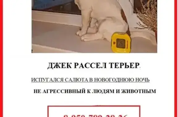 Пропала собака: Заозёрная ул., 2, Омск