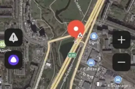 Найдена собака, Санкт-Петербург, фото: Найдена собака на Полежаевском проезде