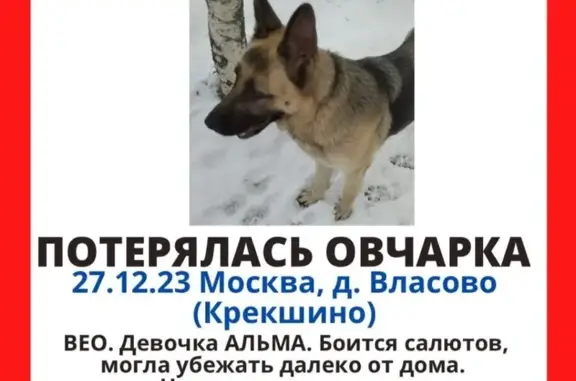 Пропала собака: Боровское ш., Марушкино