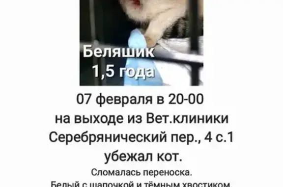 Пропала кошка: Серебрянический пер., 4с1