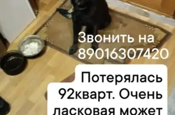 Пропала собака: К. Маркса, 49, Ангарск