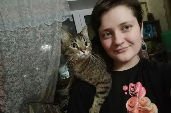 Пропал кот: ул. Черкасова, 21, СПб