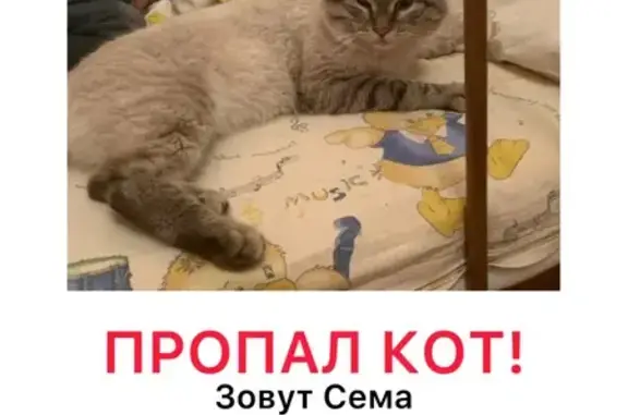 Пропала кошка: Дальние сады, Воронеж