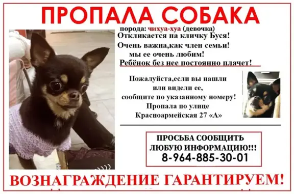 Пропала собака: Красноармейская, 27А