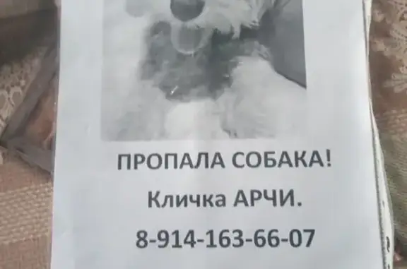 Пропала собака: Краснод. пер., 15