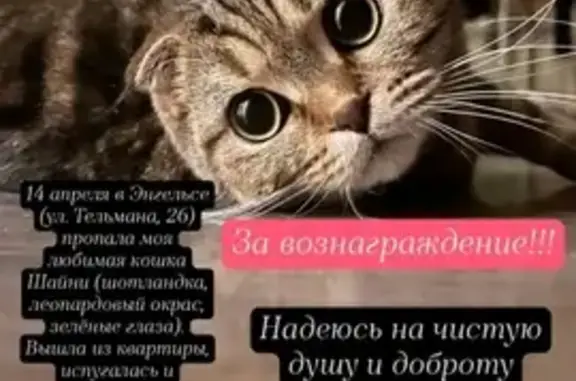 Пропала кошка: ул. Тельмана, 132, Энгельс