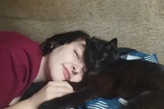 Кошки потеряшки, Уфа, фото: Потеряшка кошка Буба, Наб. Уфы, 9