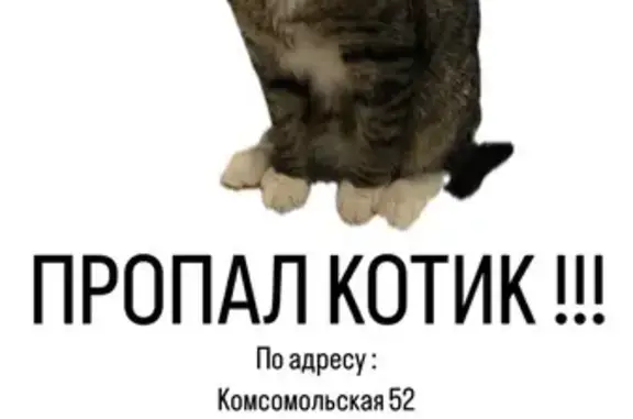Пропала кошка: Комсомольская, 52