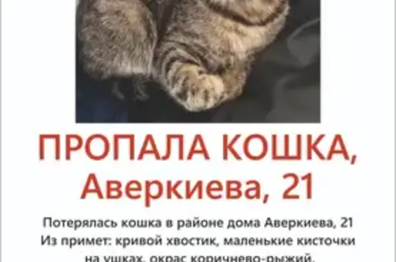 Пропала кошка: Героя Аверкиева, 21