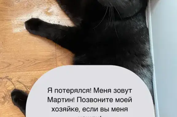 Пропал кот, Пригородная ул. 5, Омск