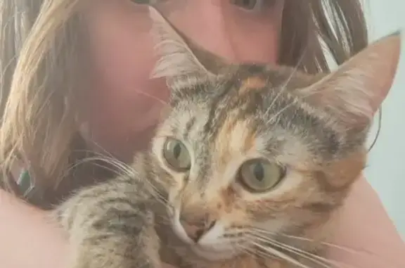 Пропала кошка: Сакко и Ванцетти, 20