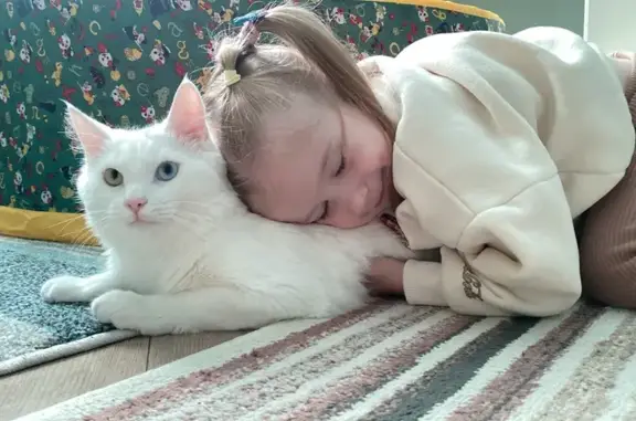 Пропал белый кот, ул. Аксакова, 116