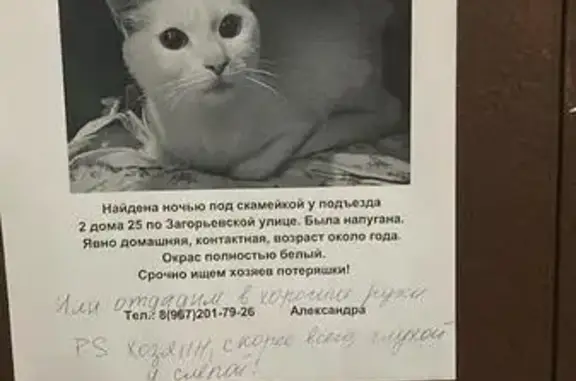 Пропала кошка, Загорьевская ул. 25, Москва