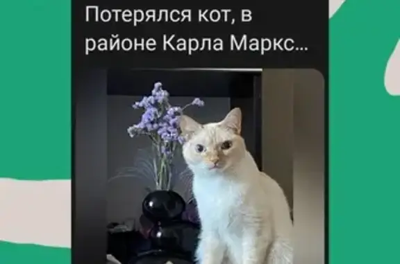 Пропала кошка, Карла Маркса, 43, Усть-Илимск