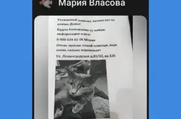 Пропала кошка, Ленинградская 75, Пушкин
