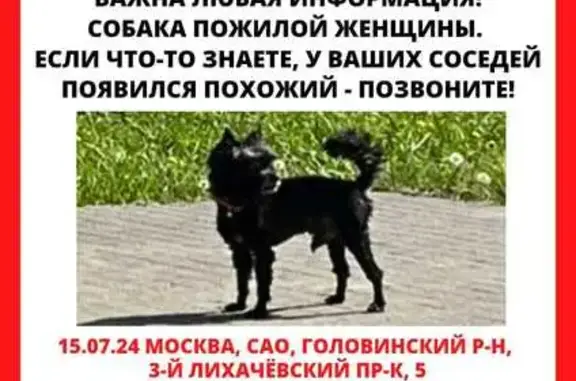 Пропала собака, 3-й Лихачёвский пер., 5, Москва