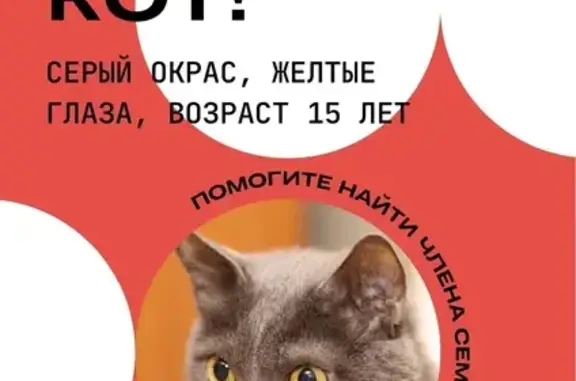 Пропала кошка, Пермь, Пермский край