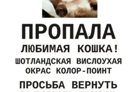 Пропала кошка, Полевая ул., Крым