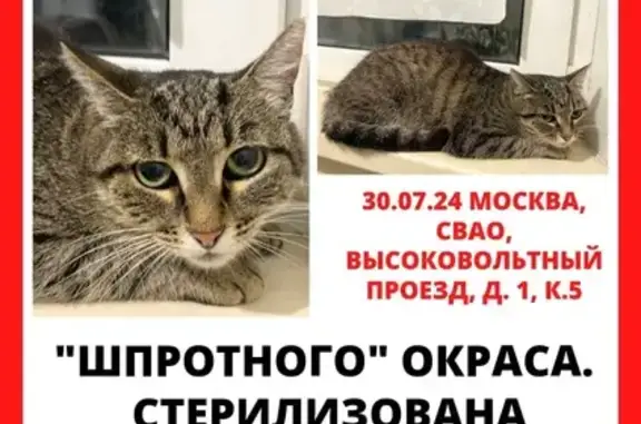 Найдена кошка, Высоковольтный проезд 1к5