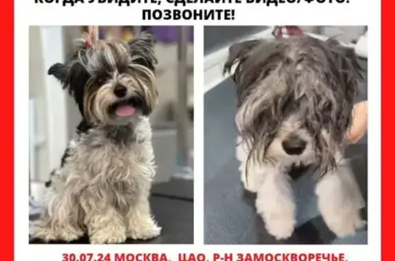 Пропала собака: Мытная ул., 7 с1, Москва