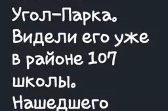 Пропала собака, ул. 64-й Армии, Волгоград