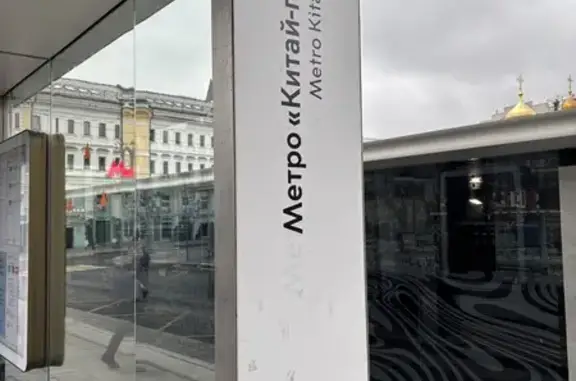 Собака найдена у метро Китай Город 10В