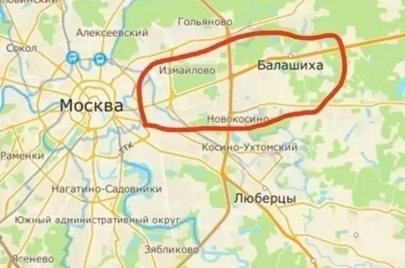 Пропала собака на Зеленом проспекте, Москва