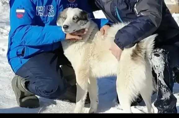 Пропали лайки, Набережная ул., Спасское