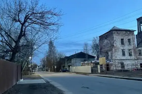 Найдена собака, Вологда, фото: Собака найдена, ул. Бурмагиных 5, Вологда