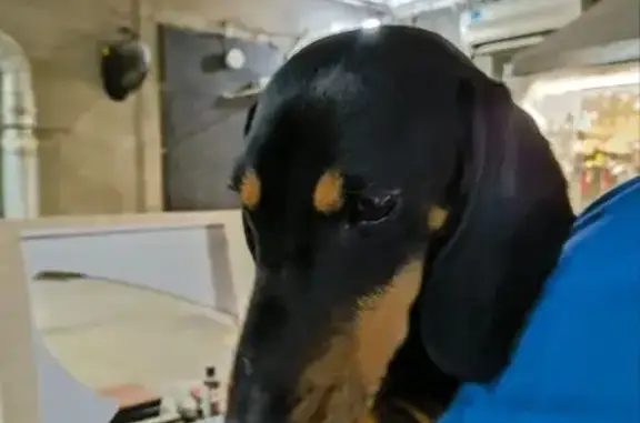 Такса найдена: Серебряный пер., 7, Ростов-на-Дону