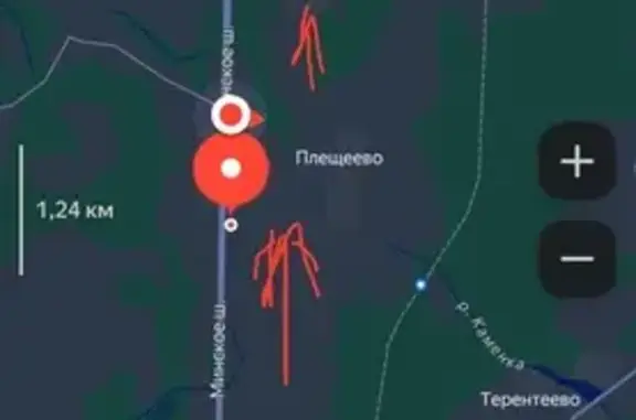 Найдена собака, Смоленская область, фото: Собаки на трассе М-1, Смоленская область