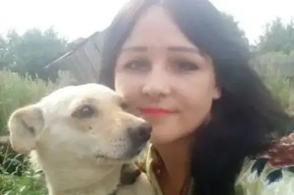 Собаки потеряшки, , фото: Потеряшка собака, Школьная ул., Александровка