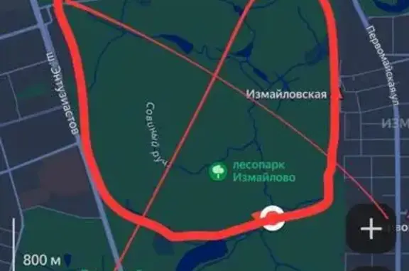 Найдена собака на Металлургов, 32к3