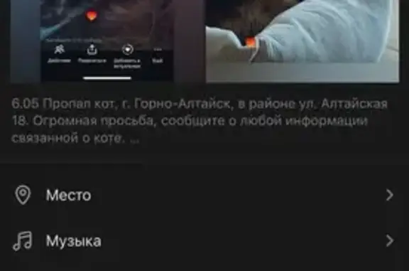 Пропала кошка, Алтайская 18, Горно-Алтайск