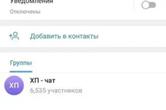Пропала кошка, ул. Янковского, Москва