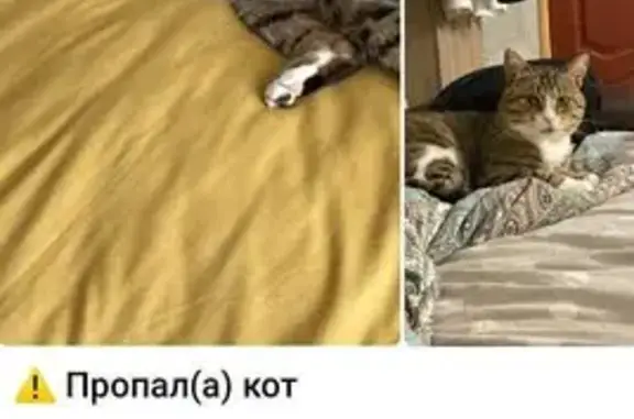 Пропал кот, Загорьевский проезд, 15