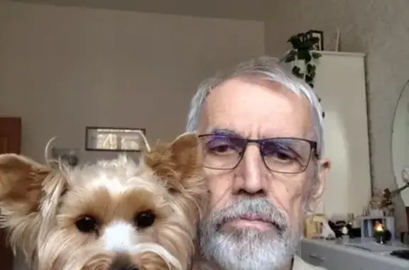 Найдена собака, Хабаровск, фото: Пропала собака на ул. Запарина, Хабаровск