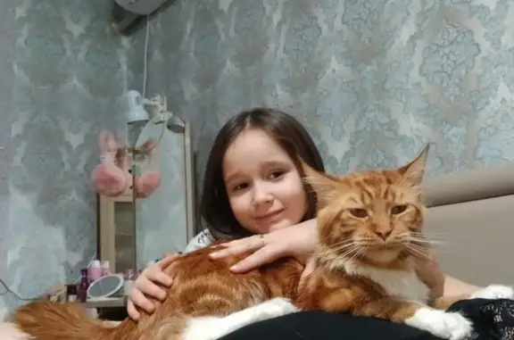 Пропала кошка Томас, Каспийская ул., Началово