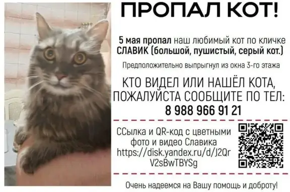 Пропала кошка, Адлер, ул. Голубые Дали, 14А