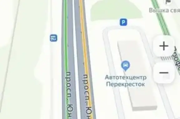 Найдена собака, Подольск