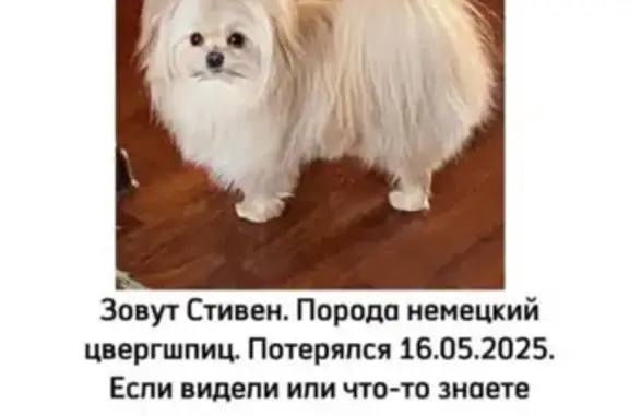 Пропала собака, Хабаровский край
