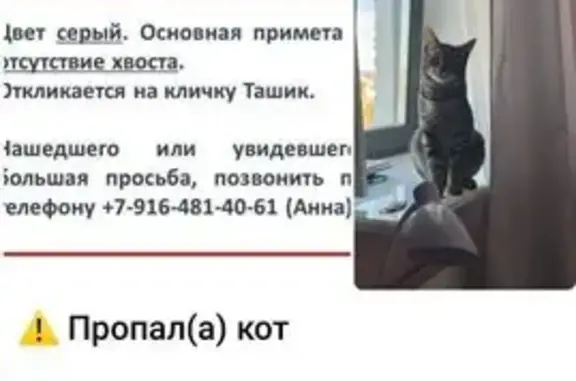 Пропала кошка, Драчево
