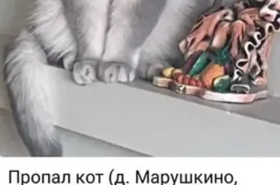 Пропала кошка, Марушкино