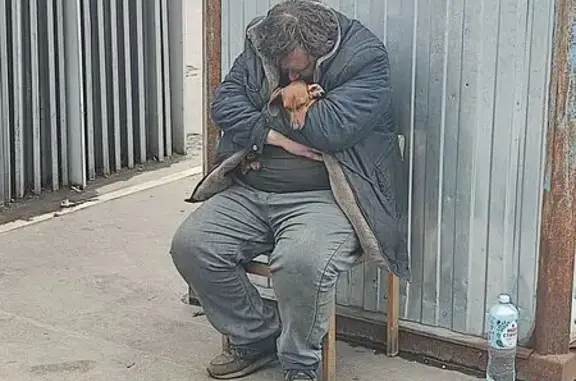 Найдена собака, Москва